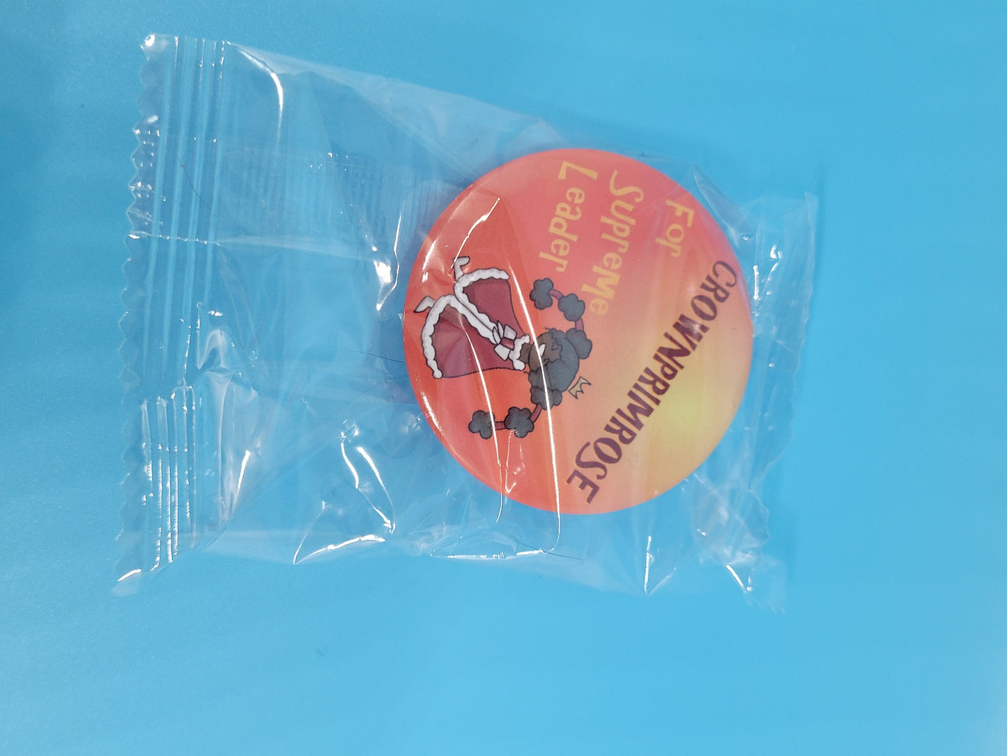 Entropic Float Pin Badges - 2024 Edition