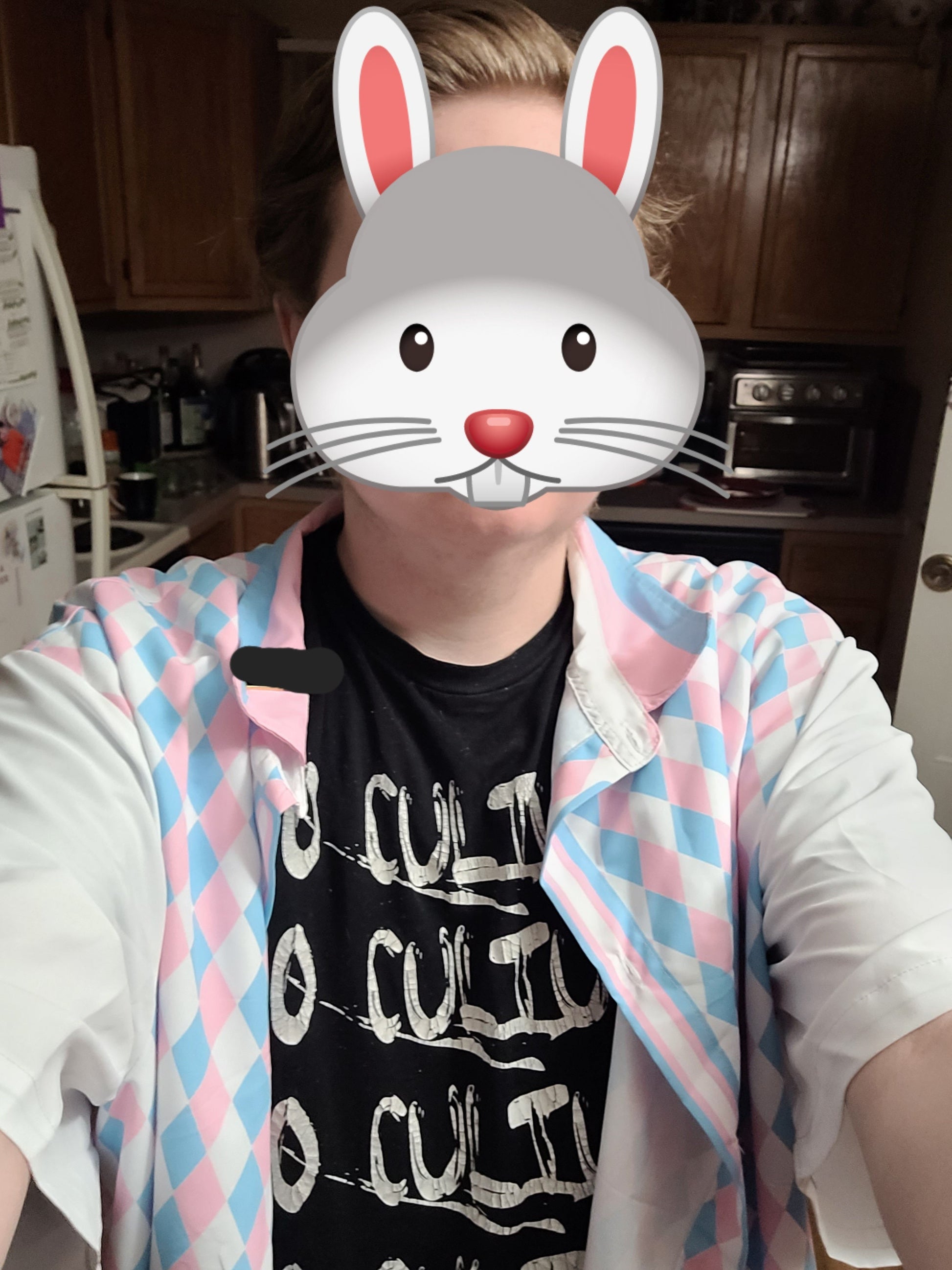 Asexual Pride Button-Up Shirt